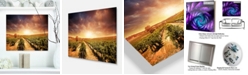 Design Art Designart 'Vineyard With Stormy Sunset' Extra Large Wall Art Landscape - 20" X 12"